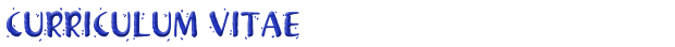 Curriculum Vitae